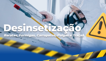 Desinsetização