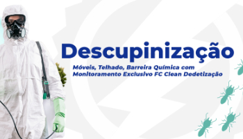 Descupinização